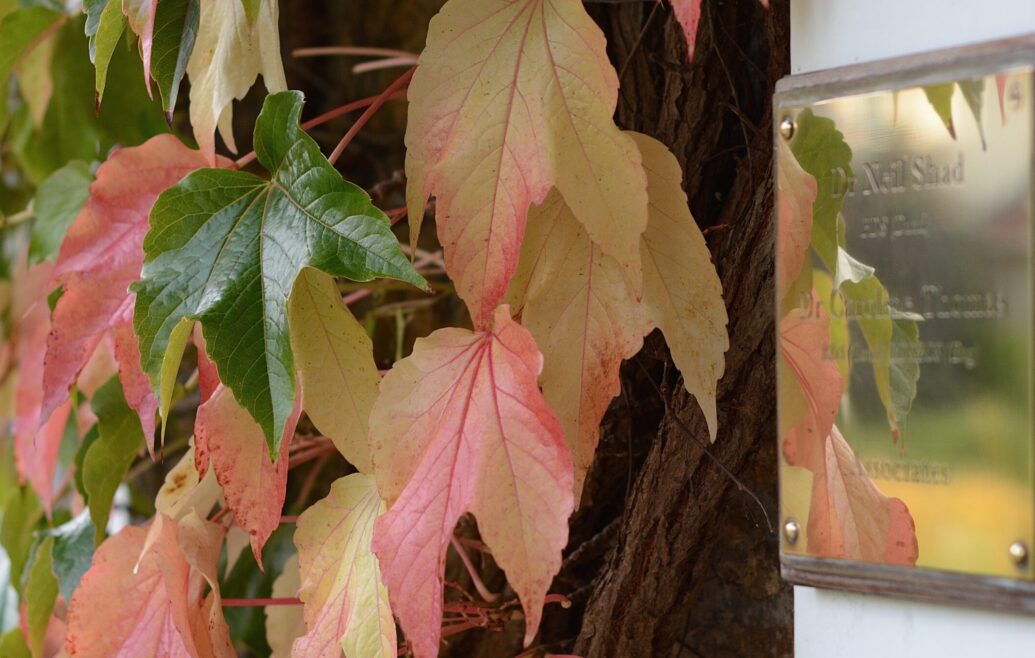 Catherine Court Dentistry Gallery Image