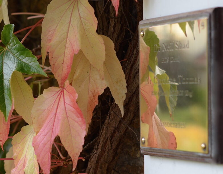 catherine court dentistry thumb1